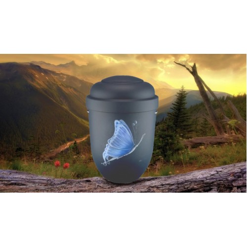 Biodegradable Cremation Ashes Funeral Urn / Casket - BLUE BUTTERFLY